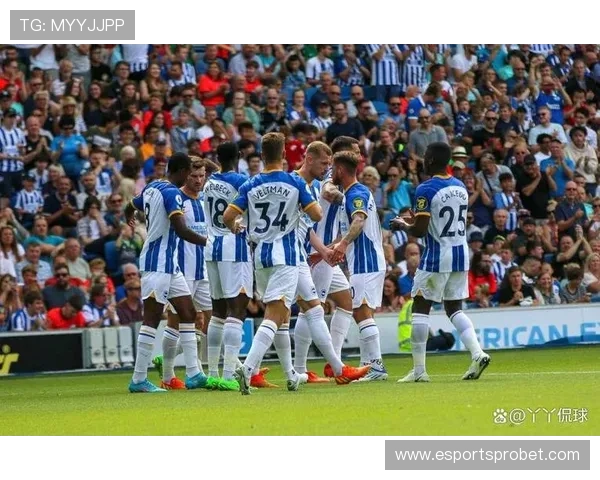 布莱顿2-0战胜伯恩利，海鸥主场展翅全取三分